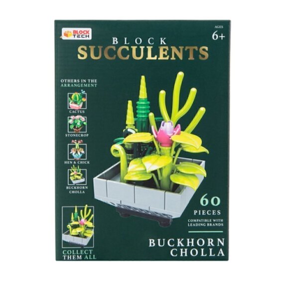 Block Tech Succulents Block Set Buckhorn Cholla NWT Building Activity Toy Plant - Picture 3 of 6